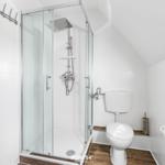 Duschkabine mit Duschbrause, Toilette und Holzboden
