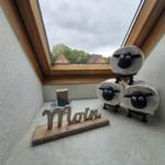 Dachfenster mit Blick auf Dächer, drei Schaf-Objekte aus Toilettenpapier und Holzschild mit Moin.