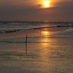 Sunset over tidal flats with posts and waves.
