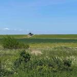 Wide green landscape with observation tower on a dune under blue sky.