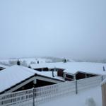 Schneebedeckte Häuser mit weißen Zaun und verschneiten Bäumen im Hintergrund.