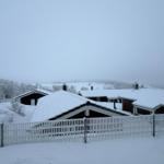 Schneebedeckte Häuser mit weißem Zaun und schneebedeckten Bäumen im Hintergrund.