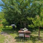 Garten mit Tisch, Stühlen und Schaukel unter Bäumen.