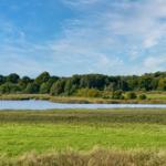 Grünes Feld neben einem See mit Wald im Hintergrund unter blauem Himmel.