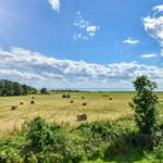 Weitläufiges Feld mit Heuhaufen unter blauem Himmel mit Wolken und Blick auf Wasser.