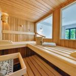 Sauna mit Holzbank, Steinofen und Fensterblick auf Grün