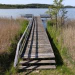 Wooden walkway leads to a dock over reeds into the water.
