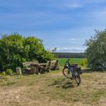 Landschaft