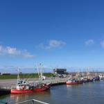 Harbor with several fishing boats and a modern building in the background.