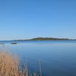 Ruhige Wasserlandschaft mit Insel im Hintergrund und Schilf im Vordergrund.