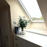 Dachfenster mit Pflanze und Büchern auf Schrank