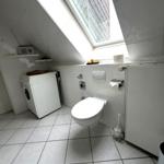 Badezimmer mit Toilette, Waschmaschine und Dachfenster.