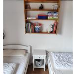 Two beds with a nightstand and wall shelf with books and toys.