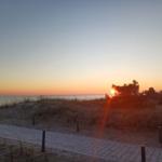 Sonnenuntergang am Strand mit Pfad und Dünenvegetation.