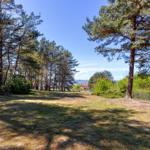 Green lawn area with tall trees and view of a house by the water.