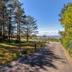 Paved path through forest to the sea, with grass, trees, and houses in the background.
