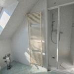 Dusche mit Duschbrause, Heizkörper und Dachfenster mit Toilette.