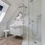 Bathroom with shower, sink, and skylight overlooking trees.