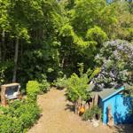 Blauer Schuppen neben lila Blütenbaum und Holzgartenmöbel im Wald.