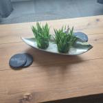 Holztisch mit Pflanzenarrangement und Steinuntersetzer