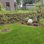 Garten mit Rasen, jungen Bäumen und Beet mit Stein.