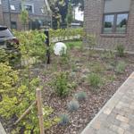 Garten mit jungen Bäumen, Beet und Pflanzen vor modernem Haus mit Zufahrt.