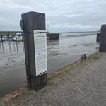 Hafen mit Steg, Booten und Informationsplakat an Pfosten.
