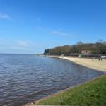 Strand mit Sand, Wasser und Gras, Gebäude und Bäume im Hintergrund.