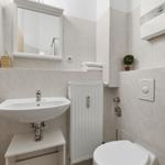 Bathroom with sink, mirror, toilet, and radiator.