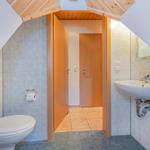 Badezimmer mit Toilette, Waschbecken und Dusche unter Dachschrägen.