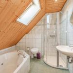 Badezimmer mit Dusche, Toilette, Badewanne und Dachfenster unter Holzdecke.