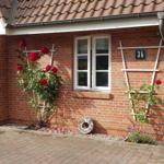 Red brick house with blue door, roses, and windows. House number 3b on the wall.