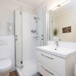 Bathroom with shower, sink, and toilet. Glass shelves and plant are visible.