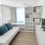 Wohnraum mit Sofa, Regal, Fernseher und Fenster mit Vorhängen.