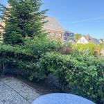 Garten mit Beerensträuchern und Blick auf Wohnhäuser im Hintergrund.