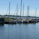 Sailboats are moored at a dock in the water. Behind them is a wooded shoreline.