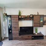 Wohnzimmer mit TV-Möbel, Pflanzen und Wandbild.