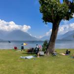 Grüner Strand mit Bäumen, Sonnenschirmen und Menschen am See.