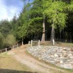 Ein Waldweg mit Steinmauer und hohen Bäumen führt durch eine grüne Landschaft.