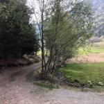 Dreckiger Waldweg mit Bäumen und Grasflächen im Hintergrund.