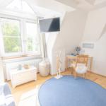 Schlafzimmer mit Dachfenster, Schreibtisch, Fernseher und runden Teppich.