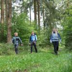 Der legendäre Rennsteig befindet sich in unmittelbarer Umgebung vom Naturcamp Lenkgrund
