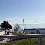 Strand mit Badehaus, Flaggen und See. Ein Vogel fliegt über das Wasser.