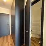 Flur mit Tür, Schrank und Blick in Bad mit Heizung.