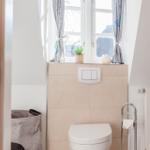 WC mit Fenster, Pflanze und Toilettenpapierhalter