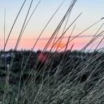 Sonnenuntergang hinter Grashalmen mit Blick auf Ferienhaus und Landschaft