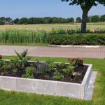 A flower bed with plants in the front yard. Background: fields and trees.