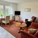 Living room with sofa, armchair, table, and TV. Window with view of garden.