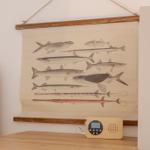 Wandbild mit Fischzeichnungen hängt über einem Holztisch mit Radiogerät.