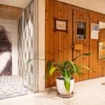 Dusche mit Mosaikboden und Wandbild, Holzwände, Pflanze und Liegebereich.